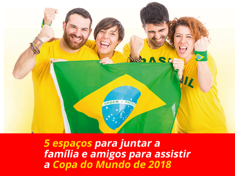 torcedores da seleção brasileira